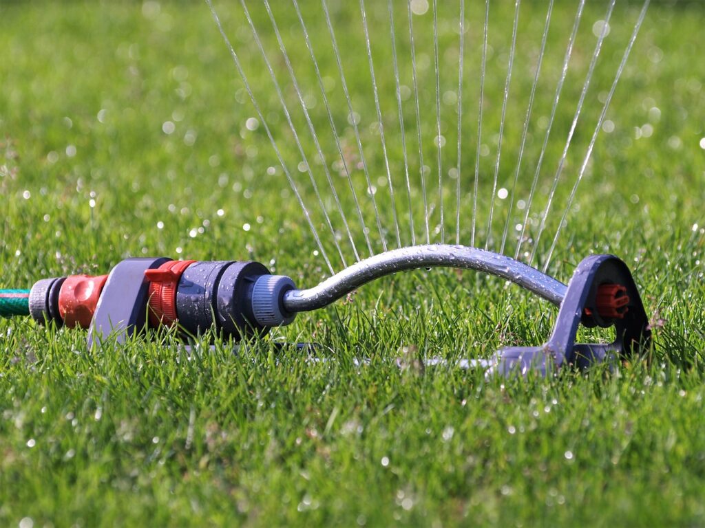 Sprinkler watering a freshly seeded lawn, illustrating the importance of proper irrigation when learning how to grow grass from seed.