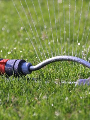 Sprinkler watering a lush green lawn, showcasing efficient watering techniques for a healthy, thriving yard.