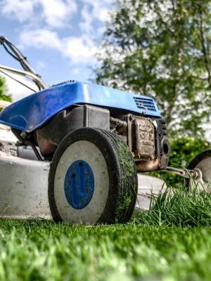 Simple lawn mowing tips for a healthy, green lawn. Includes advice on mowing height, frequency, and proper techniques for optimal grass growth.