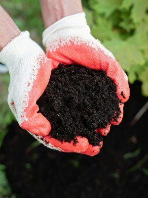 Healthy soil with rich texture, showing the importance of proper soil care for a thriving lawn and garden.