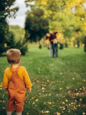 Effective leaf blower and debris management tools for a tidy, well-kept yard.