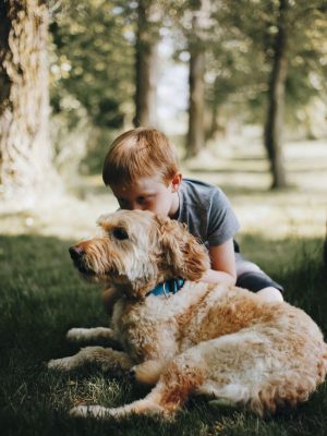 Natural lawn care tips for a chemical-free, lush, and healthy lawn.